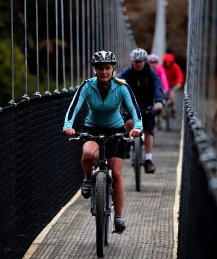 Riding on to the Maramataha Bridge - Timber Trail